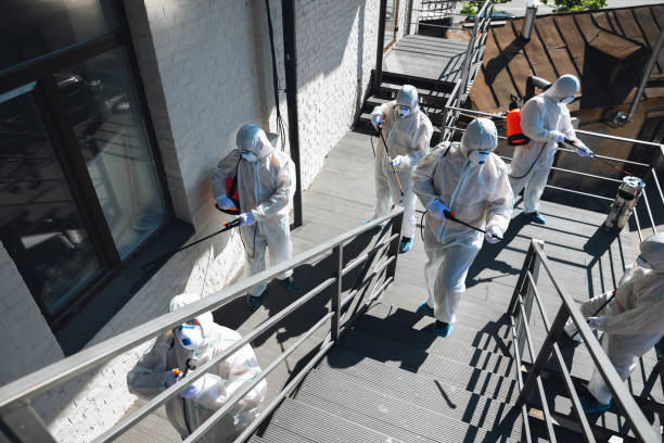 Best Biohazard Mold Removal  in Sheridan, WY