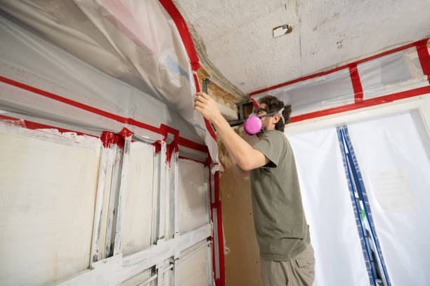 Best Mold-Related Health Consultation  in Sheridan, WY