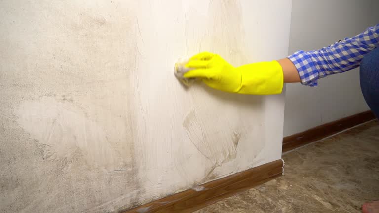 Best HVAC Mold Inspection and Cleaning  in Sheridan, WY