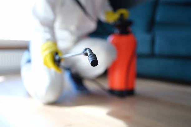 Mold Remediation for Vacation Homes in Sheridan, WY