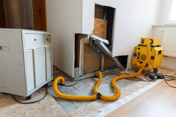 Reliable Sheridan, WY Mold Removal Solutions