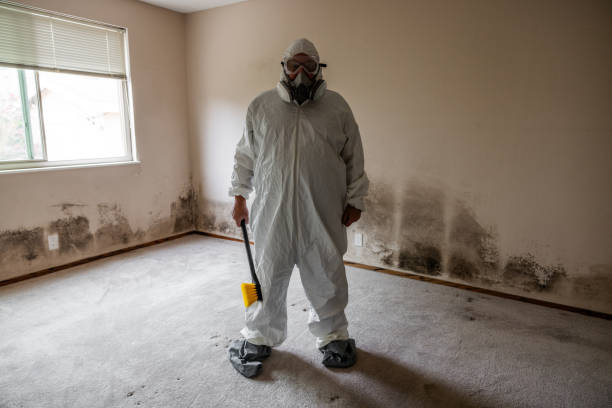 Best Emergency Mold Remediation  in Sheridan, WY